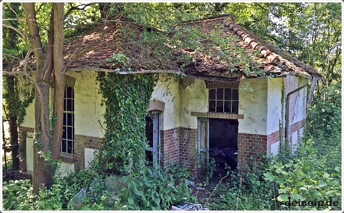 Lost Places Kleines Haus bei Königstein am Waldrand