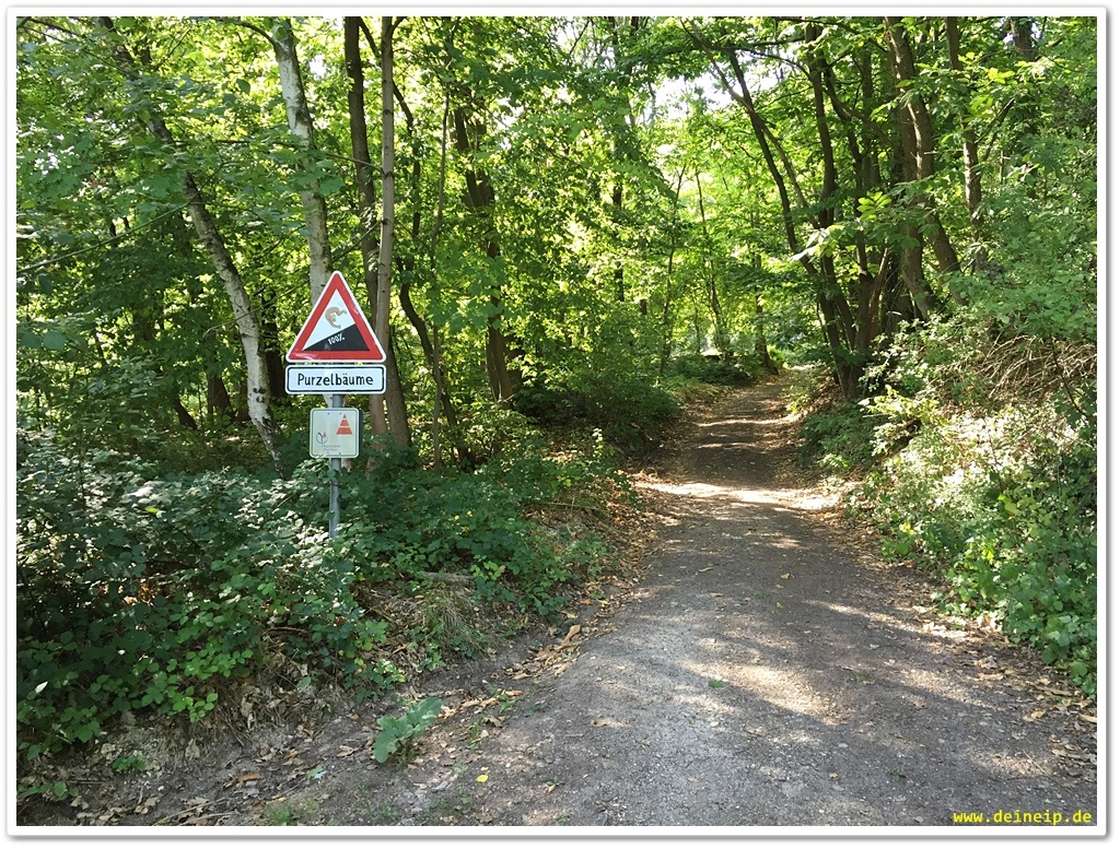 Unterwegs in RheinMain Regionalpark Safariroute Kronberg