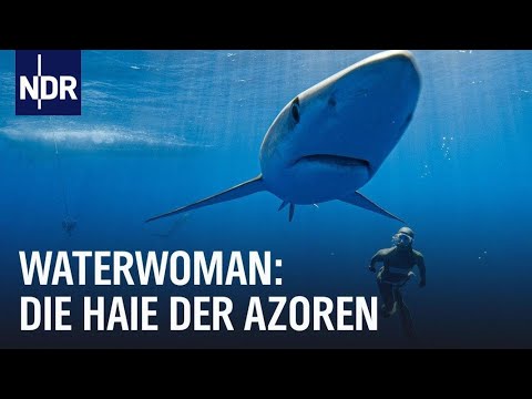 „Waterwoman: Freitauchen mit Anna von Boetticher“